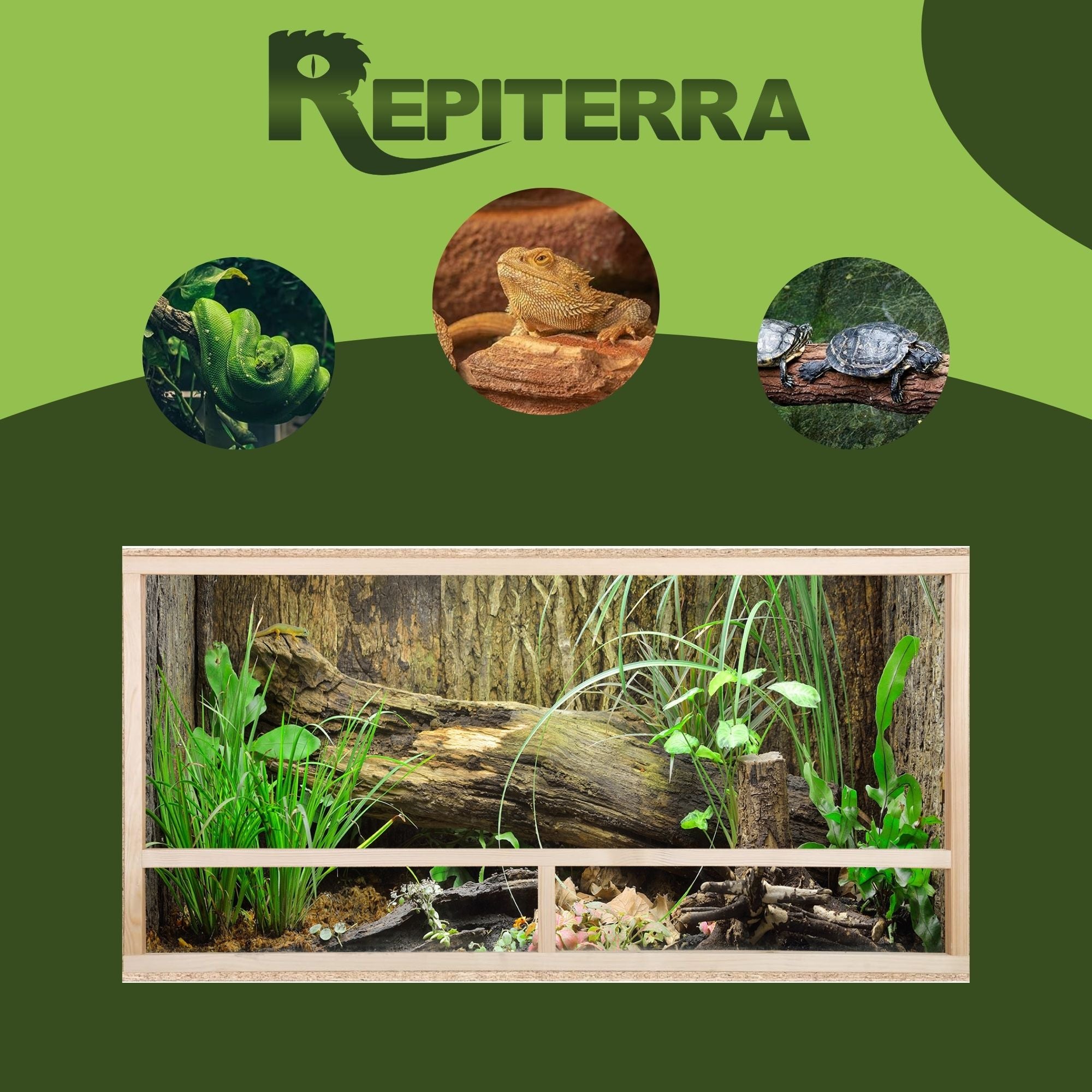Repiterra Terrarium aus Holz mit Seitenbelüftung 120x60x60 cm