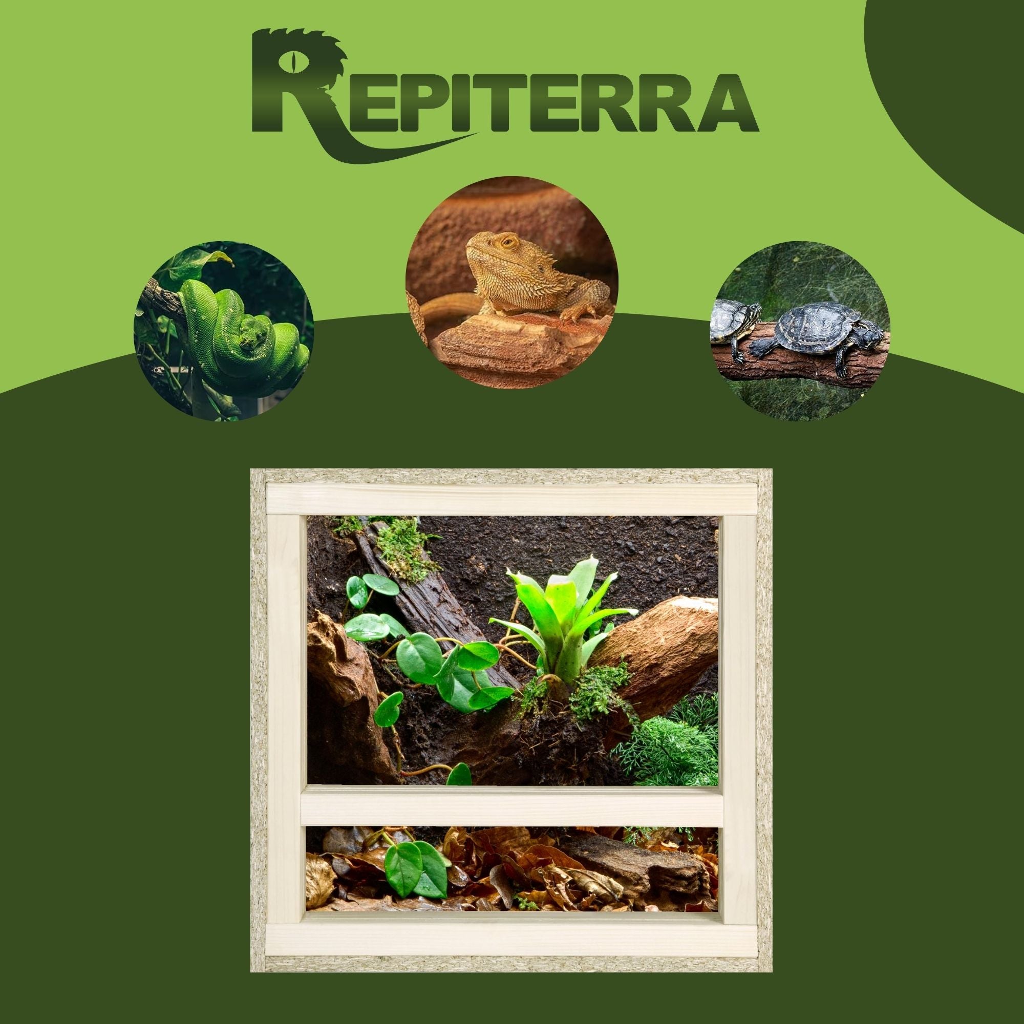 Repiterra Terrarium aus Holz mit Seitenbelüftung 40x40x40 cm