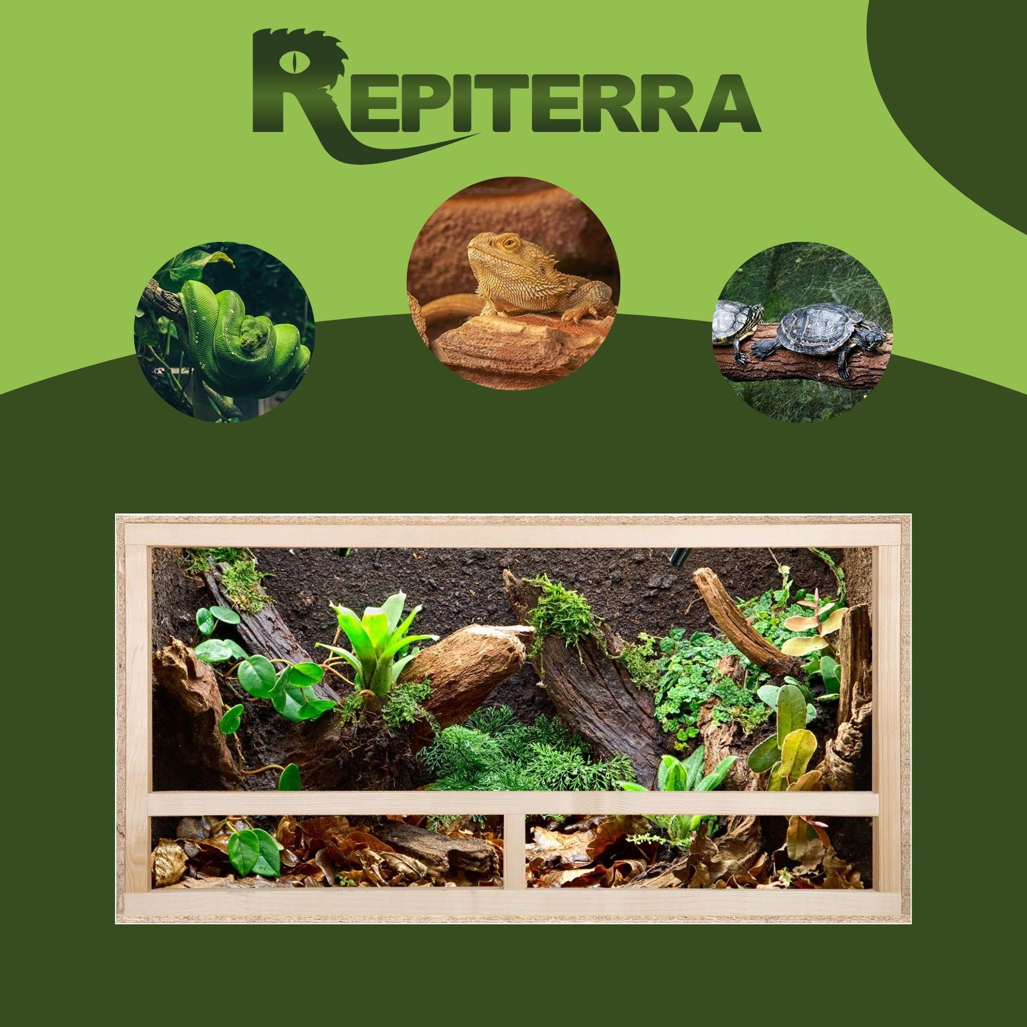 Repiterra Terrarium aus Holz mit Seitenbelüftung 80x50x50 cm