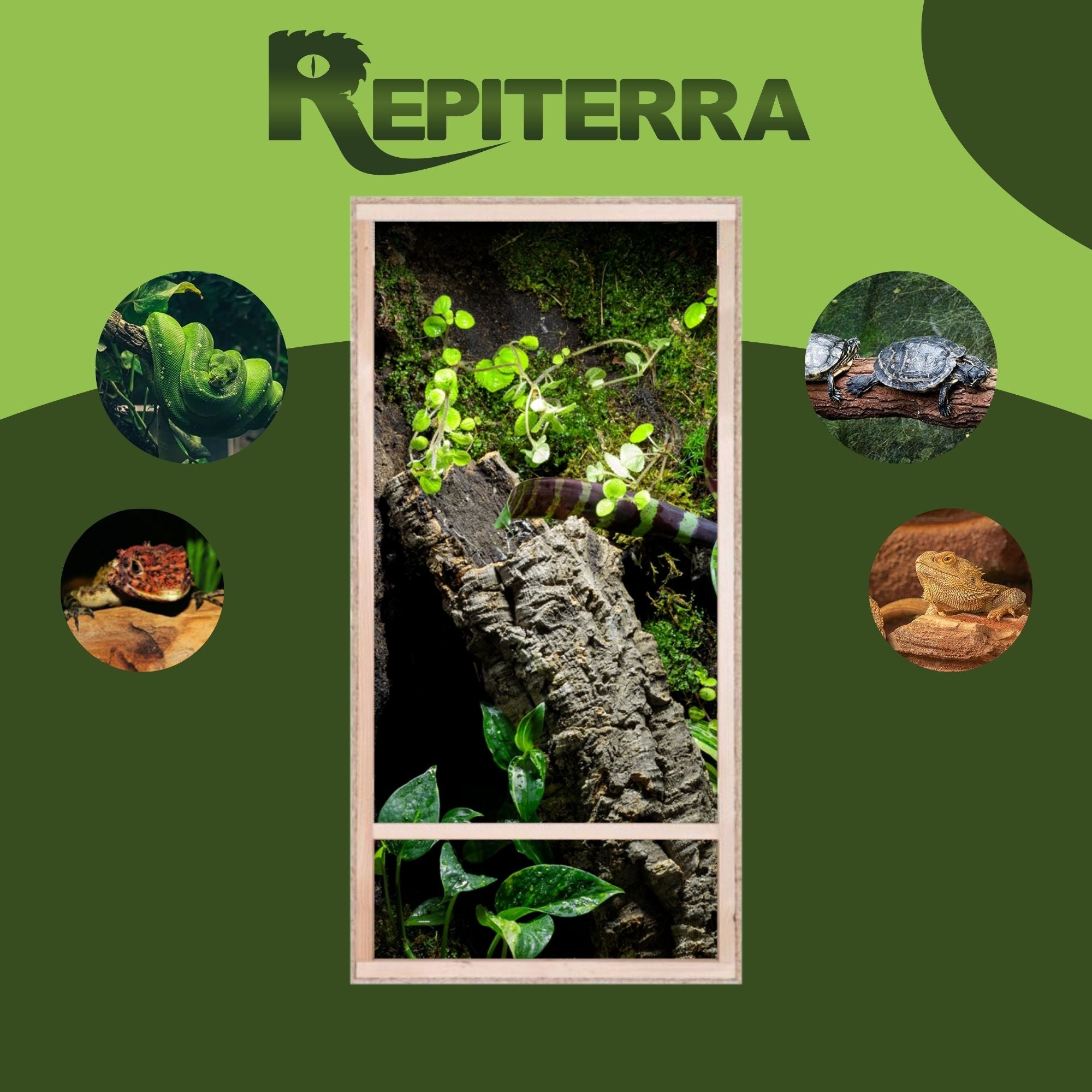 Repiterra Hochterrarium aus Holz mit Oberbelüftung und Seitenbelüftung 60x120x60 cm