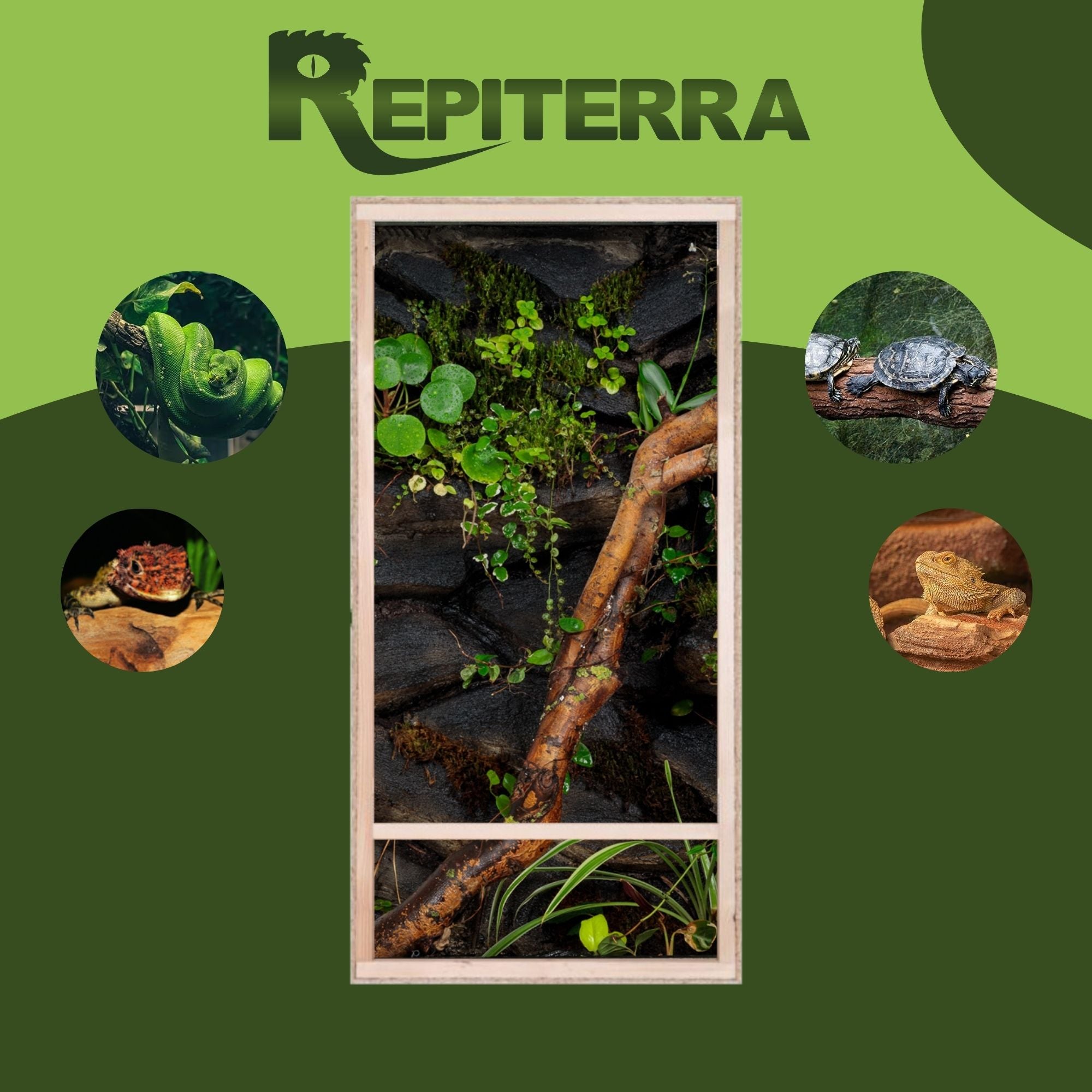 Repiterra Hochterrarium aus Holz mit Seitenbelüftung 60x120x60 cm