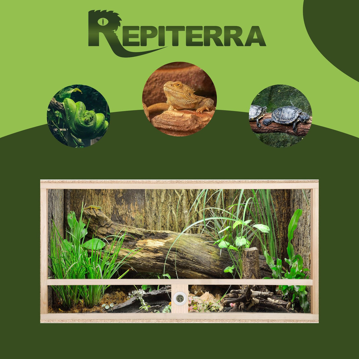 Repiterra Terrarium aus Holz mit Seitenbelüftung 120x50x50 cm
