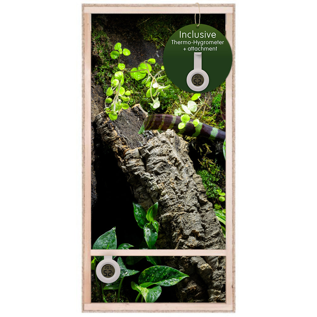 Repiterra Hochterrarium aus Holz mit Oberbelüftung und Seitenbelüftung 60x120x60 cm