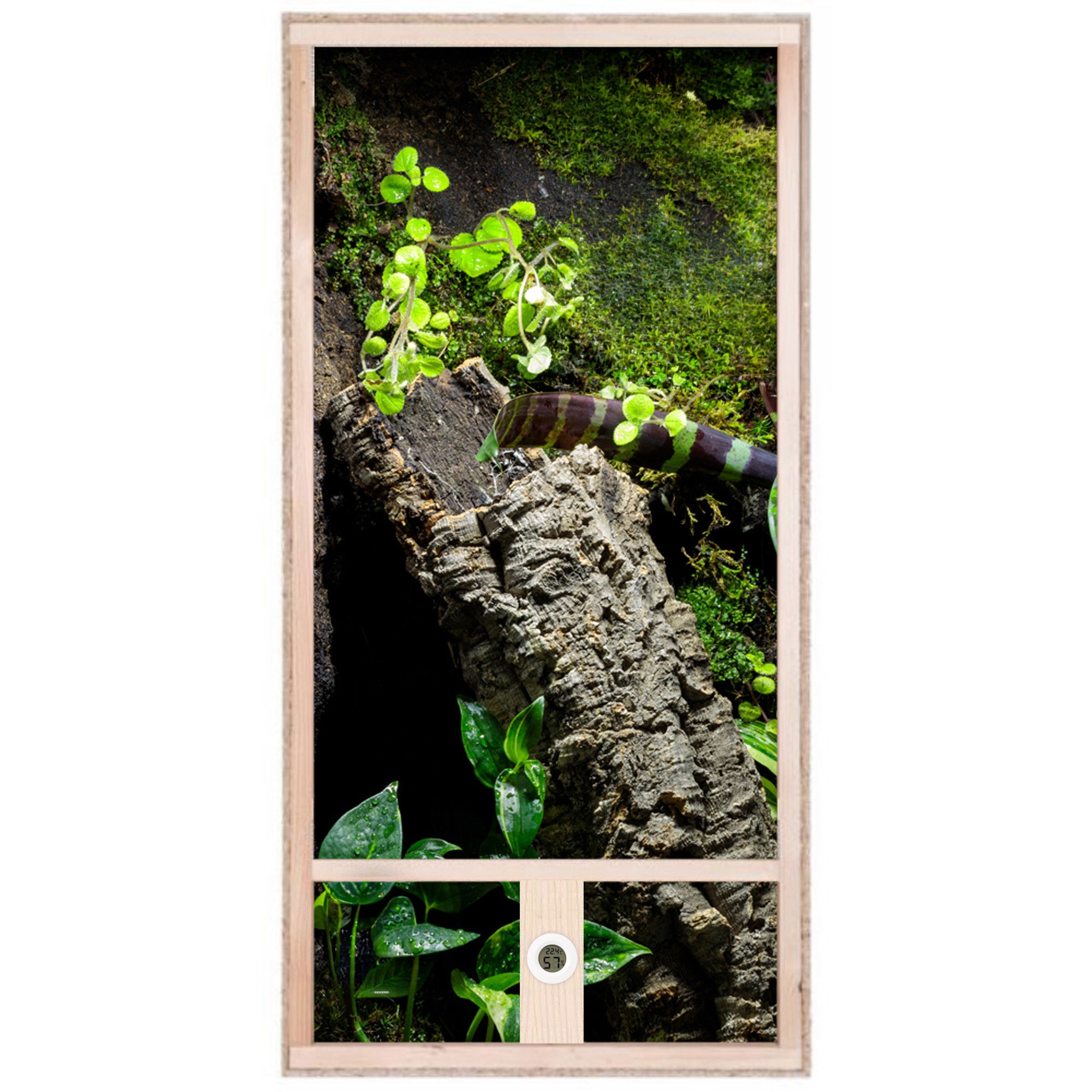 Repiterra Hochterrarium aus Holz mit Oberbelüftung und Seitenbelüftung 60x120x60 cm