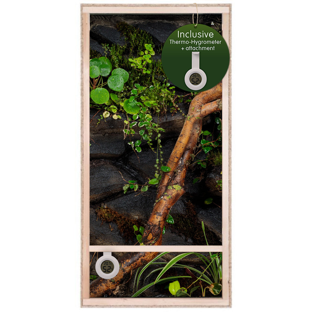 Repiterra Hochterrarium aus Holz mit Seitenbelüftung 60x120x60 cm