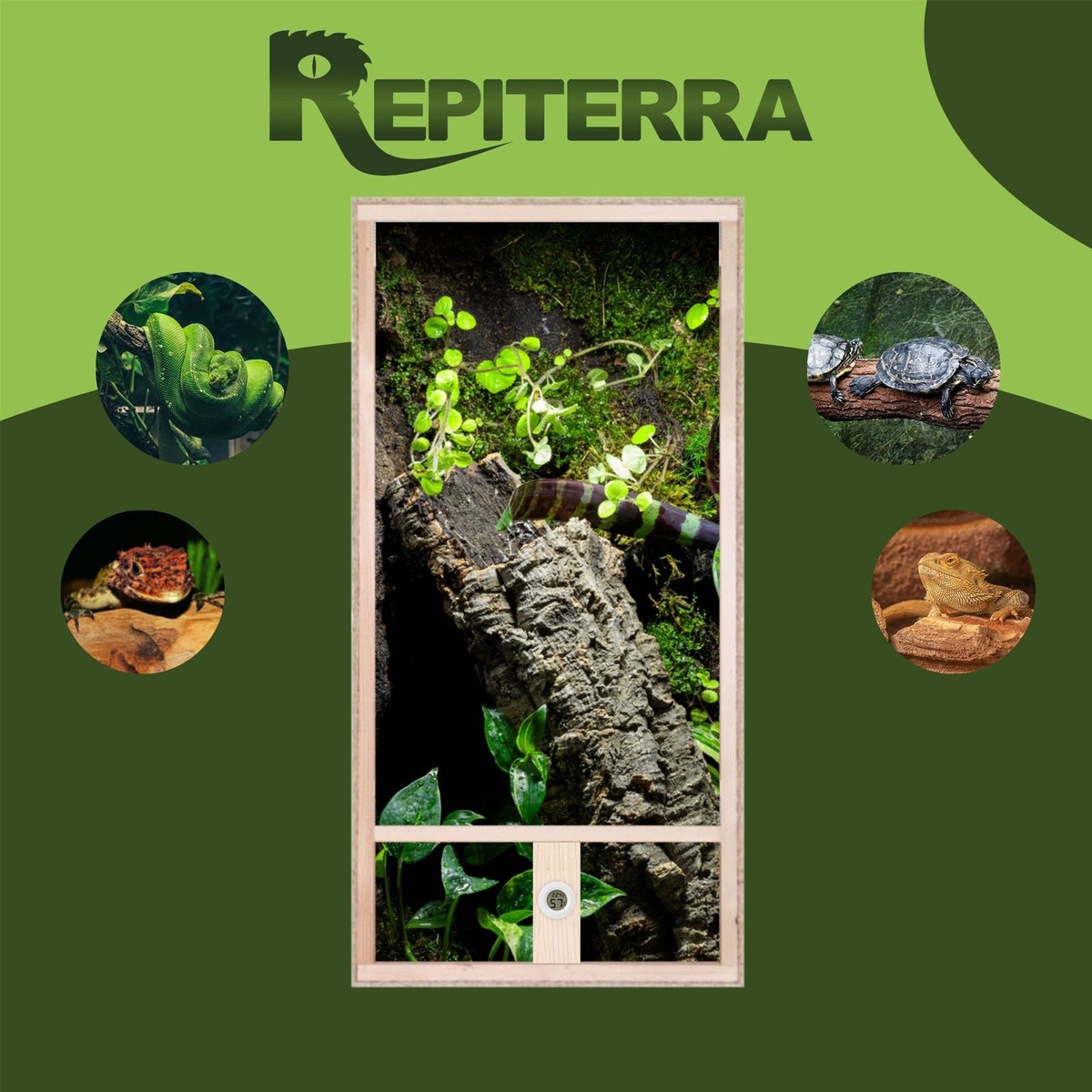 Repiterra Hochterrarium aus Holz mit Oberbelüftung und Seitenbelüftung 60x120x60 cm