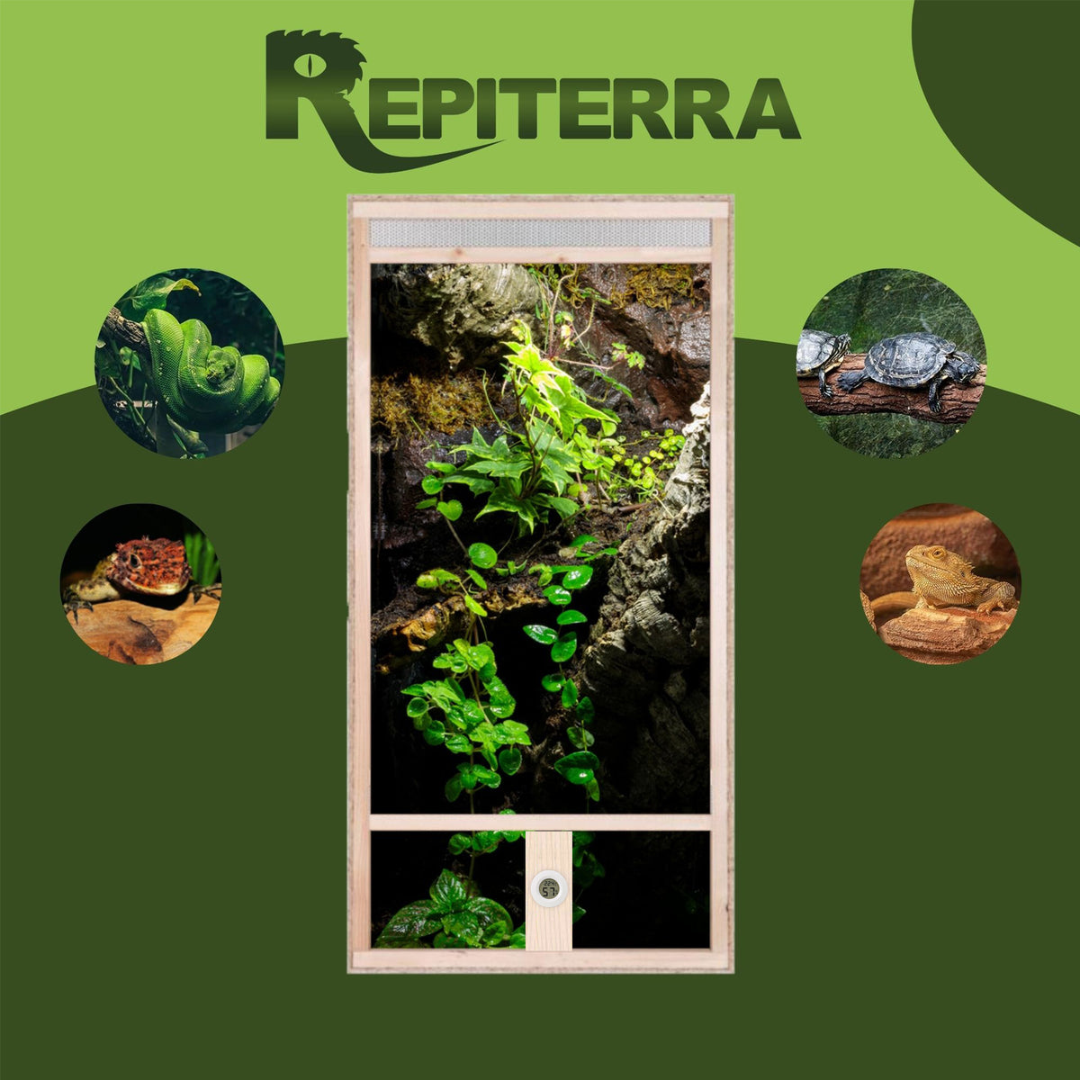 Repiterra Hochterrarium aus Holz mit Frontbelüftung 60x120x60 cm